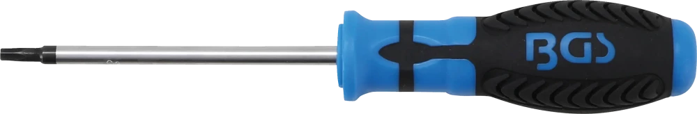 Csavarhúzó | T-profil (Torx) T25 furattal | Pengehossz 100 mm