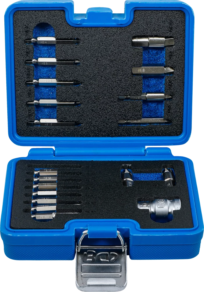 Csavarkiszedő készlet | 1,5 - 10 mm belső hatszöghöz / T-profil (Torx) | T10 - T55 | 19 darabos