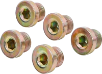 Olajleeresztő csavarok | BGS 126 | M17 x 1,5 mm | 5 darabos
