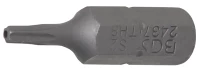 Behajtófej | Hossz 25 mm | Külső hatszögletű 6,3 mm (1/4") | T-profil (Torx) T8 furattal