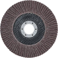 Legyező alakú csiszolótárcsa | Ø 125 mm | K 40
