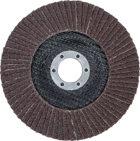 Legyező alakú csiszolótárcsa | Ø 125 mm | K 60