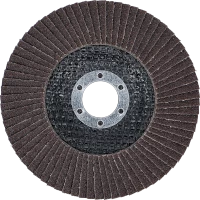 Legyező alakú csiszolótárcsa | Ø 125 mm | K 80