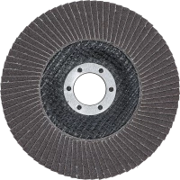 Legyező alakú csiszolótárcsa | Ø 125 mm | K 120