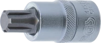Behajtófej | 12,5 mm (1/2") | Ékprofil (RIBE) M13