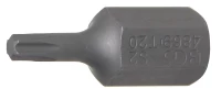 Behajtófej | Hossz 30 mm | Külső hatszögletű 10 mm (3/8") | T-profil (Torx) T20