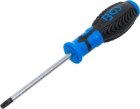 Csavarhúzó | T-profil (Torx) T30 | Pengehossz 100 mm