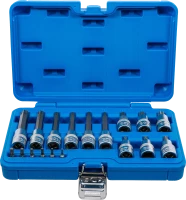 Behajtófej-készlet | 6,3 mm (1/4") / 12,5 mm (1/2") | T-profil (Torx) | 18 darabos