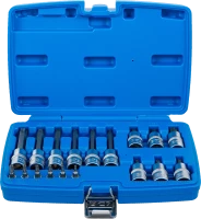 Behajtófej-készlet | 6,3 mm (1/4") / 12,5 mm (1/2") | T-profil (Torx) furattal | 18 darabos