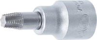 Csavarkiszedő-behajtófej | négyszögletű behajtófej 10 mm (3/8") | hibás T-profilhoz (Torx) T40