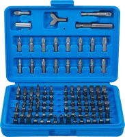 Behajtófej készlet | Külső hatszögletű 6,3 mm (1/4") | 100 darabos