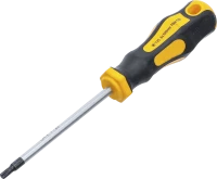 Csavarhúzó | T-profil (Torx) T25 | Pengehossz 100 mm