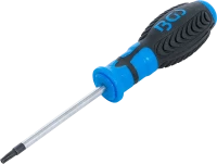 Csavarhúzó | T-profil (Torx) T20 furattal | Pengehossz 80 mm