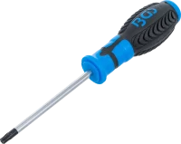 Csavarhúzó | T-profil (Torx) T30 furattal | Pengehossz 100 mm