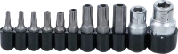Behajtófej készlet | Külső hatszögletű 6,3 mm (1/4") / 10 mm (3/8") | T-profil (Torx) furattal | 11 darabos