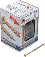 Univerzális csavarok | T-profil (Torx) T25 | 5,0 x 100 mm  | 1 kg / 120 db