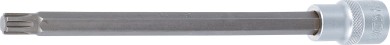 Bit-Einsatz | Länge 200 mm | Antrieb Innenvierkant 12,5 mm (1/2") | Keil-Profil (für RIBE) M10 