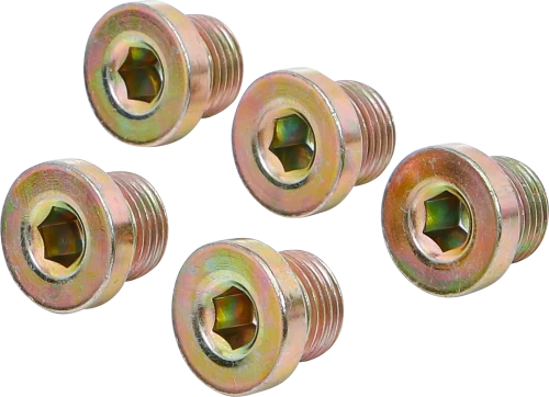 Olajleeresztő csavarok | BGS 126 | M17 x 1,5 mm | 5 darabos