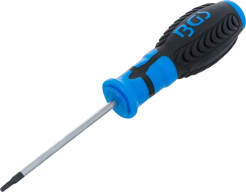 Csavarhúzó | T-profil (Torx) T10 | Pengehossz 80 mm