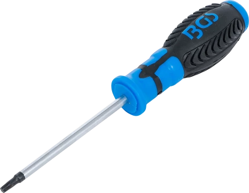 Csavarhúzó | T-profil (Torx) T25 | Pengehossz 100 mm