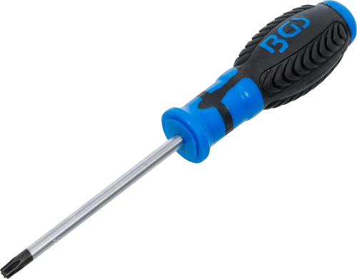 Csavarhúzó | T-profil (Torx) T30 | Pengehossz 100 mm