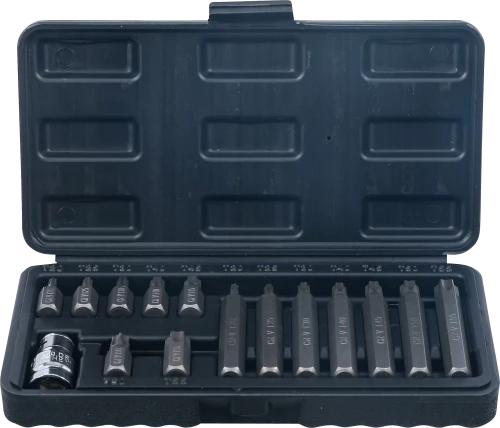 Behajtófej készlet | külső hatszögletű kulcsnyílású hajtás 10 mm (3/8") | T-profil (Torx) | 15 darabos