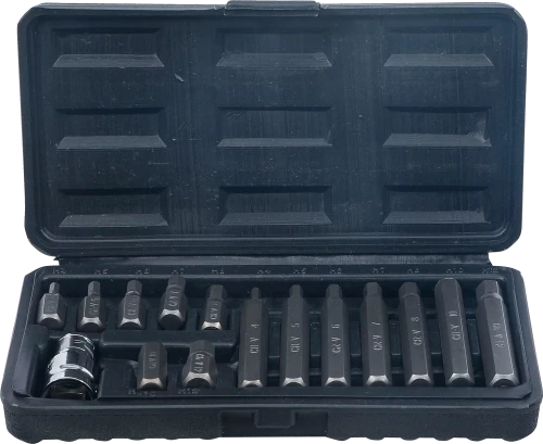 Behajtófej készlet | külső hatszögletű kulcsnyílású hajtás 10 mm (3/8") | Belső hatszögletű | 15 darabos