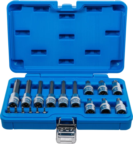 Behajtófej-készlet | 6,3 mm (1/4") / 12,5 mm (1/2") | T-profil (Torx) | 18 darabos