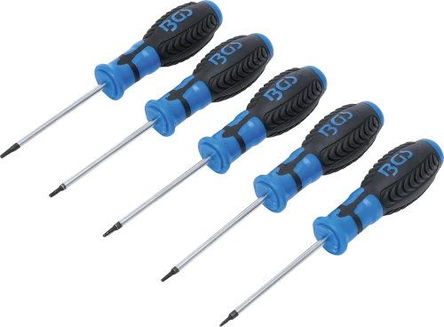 Csavarhúzó készlet | T-profil (Torx) furattal | T6 - T10 | 5 darabos