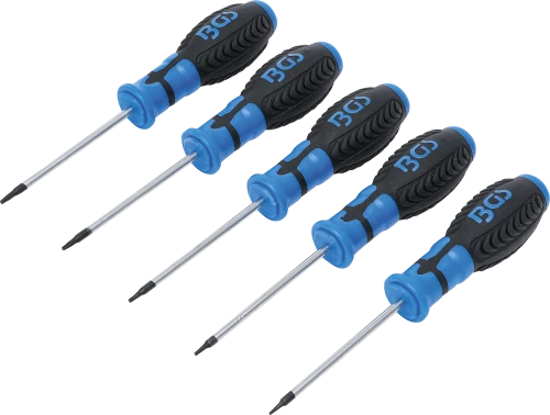 Csavarhúzó készlet | T-profil (Torx) | T6 - T10 | 5 darabos