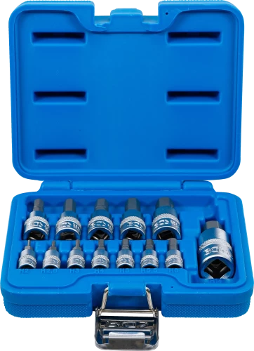 Behajtófej-készlet | 6,3 mm (1/4") / 10 mm (3/8") / 12,5 mm (1/2") | Belső hatszögletű 2 - 14 mm | 13 darabos