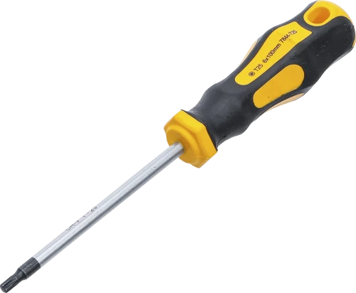 Csavarhúzó | T-profil (Torx) T25 | Pengehossz 100 mm