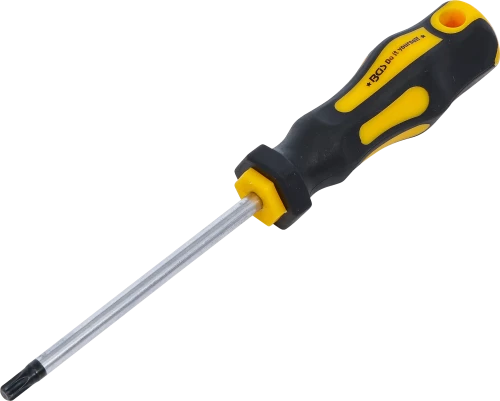 Csavarhúzó | T-profil (Torx) T30 | Pengehossz 100 mm