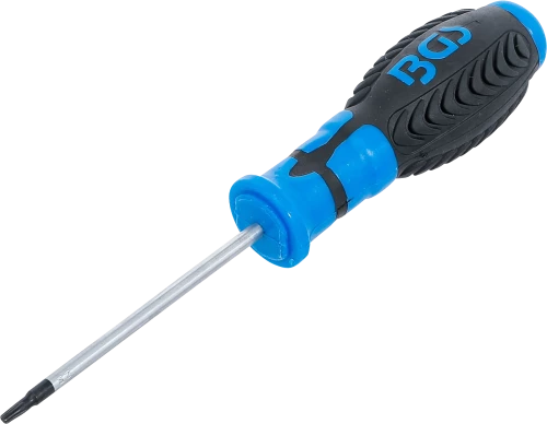 Csavarhúzó | T-profil (Torx) T10 furattal | Pengehossz 80 mm