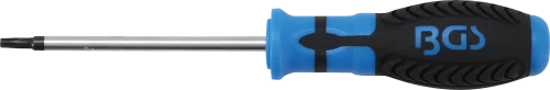 Csavarhúzó | T-profil (Torx) T25 furattal | Pengehossz 100 mm