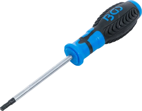 Csavarhúzó | T-profil (Torx) T27 furattal | Pengehossz 100 mm