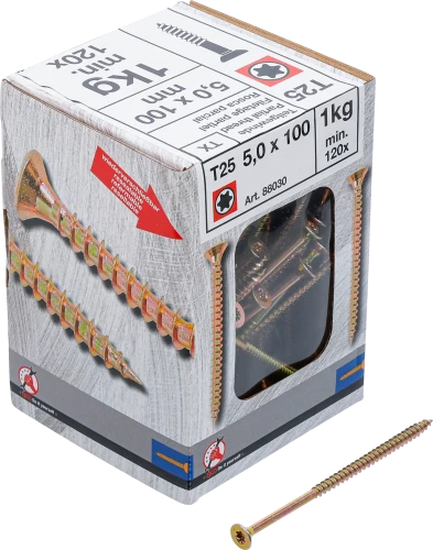 Univerzális csavarok | T-profil (Torx) T25 | 5,0 x 100 mm  | 1 kg / 120 db