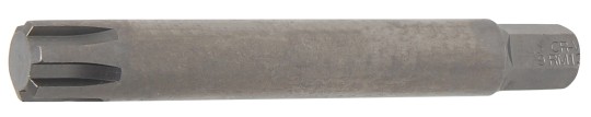 Douilles à embouts | Longueur 100 mm | 10 mm (3/8") | profil cannelé (pour RIBE) M13 