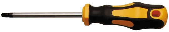 Šroubovák | T-profil (pro Torx) T27 | Délka čepele 100 mm 