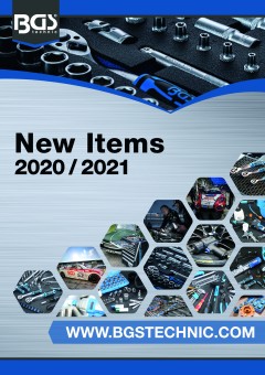 BSG Catálogo de novedades 2020/2021 en inglés 