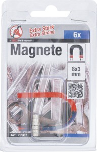Magnet-Satz | extra stark | Ø 8 mm | 6-tlg. 