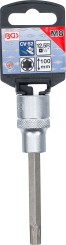 Bit Socket | length 100 mm | 12.5 mm (1/2") Drive | Spline (for RIBE) | M8 