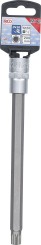 Dopsleutelbit | lengte 200 mm | 12,5 mm (1/2") | veeltand (voor XZN) M12 
