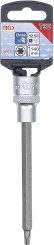 Chiave a bussola | 12,5 mm (1/2") | profilo a T (per Torx) T30 