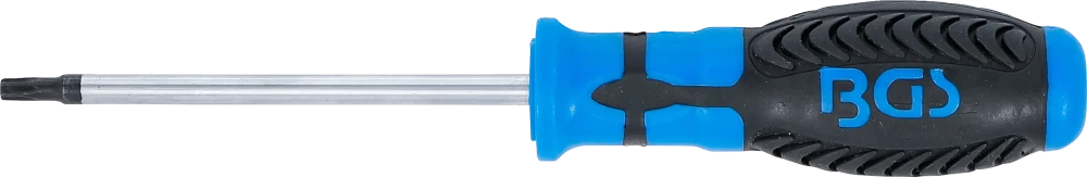 Csavarhúzó | T-profil (Torx) T25 | Pengehossz 100 mm