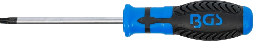 Csavarhúzó | T-profil (Torx) T30 | Pengehossz 100 mm