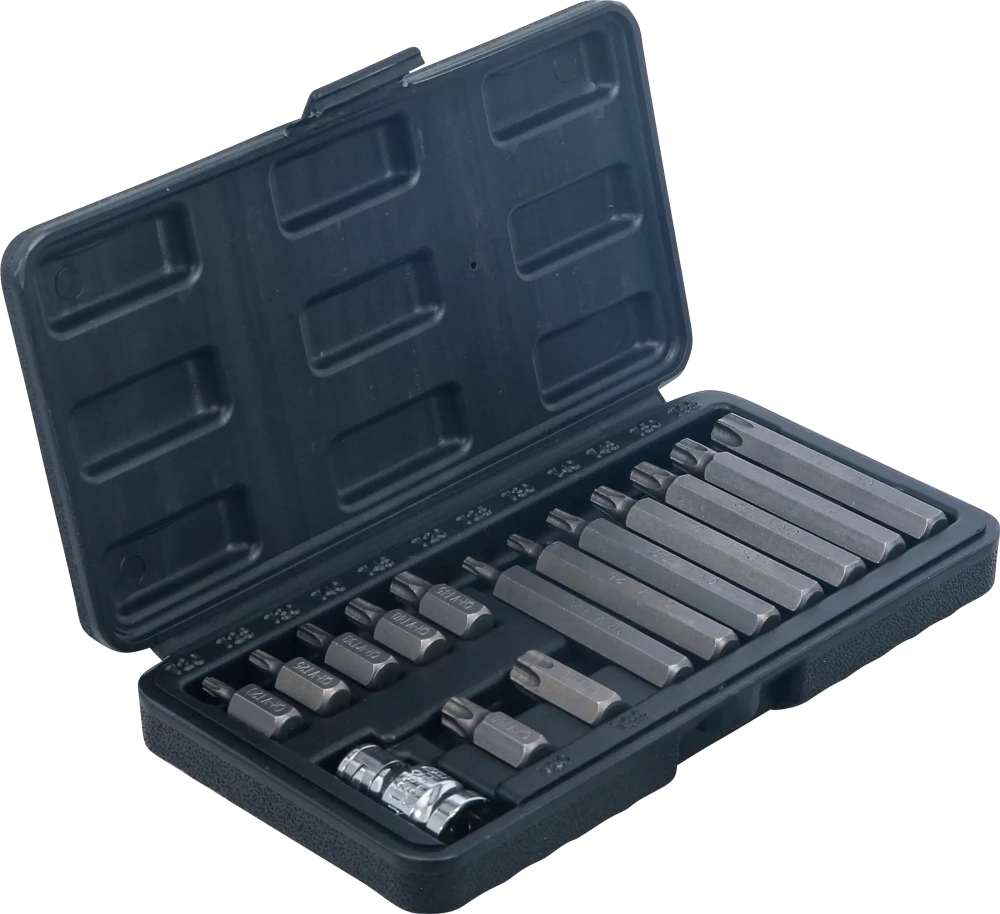 Behajtófej készlet | külső hatszögletű kulcsnyílású hajtás 10 mm (3/8") | T-profil (Torx) | 15 darabos