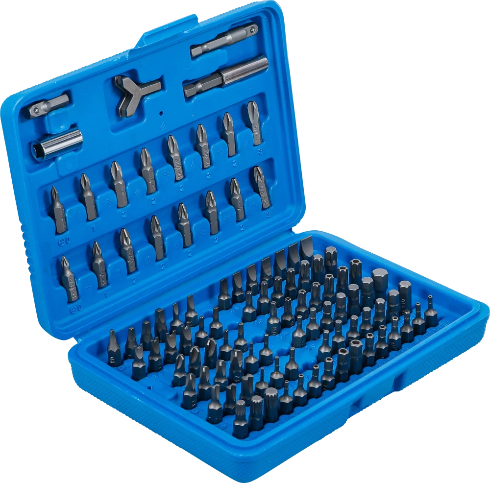 Behajtófej készlet | Külső hatszögletű 6,3 mm (1/4") | 100 darabos