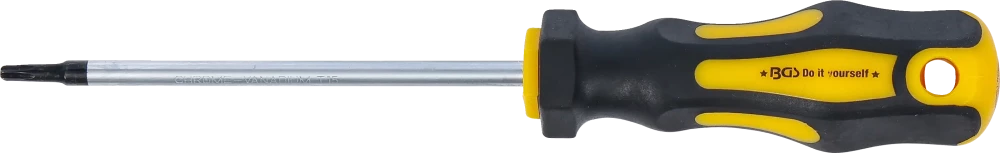 Csavarhúzó | T-profil (Torx) T15 | Pengehossz 100 mm