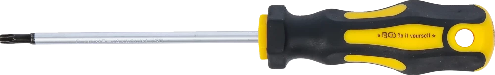 Csavarhúzó | T-profil (Torx) T20 | Pengehossz 100 mm
